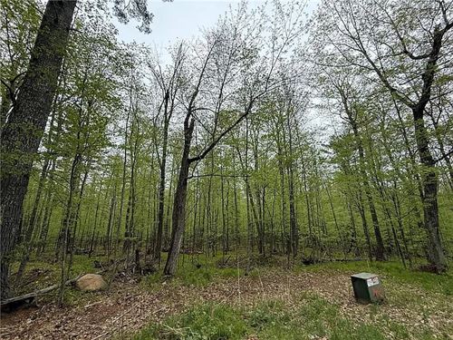 .81 Acre in Wi-Power Available : Cable : Bayfield County : Wisconsin