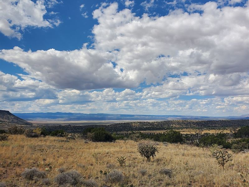 Lot 12 Cantina Acres : Grants : Cibola County : New Mexico