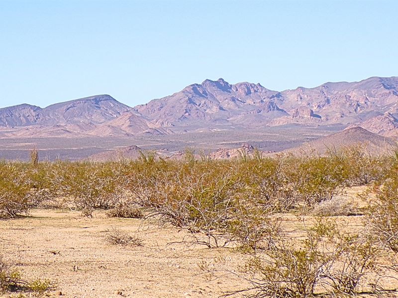 Smart Land Investment in Yucca, AZ : Yucca : Mohave County : Arizona