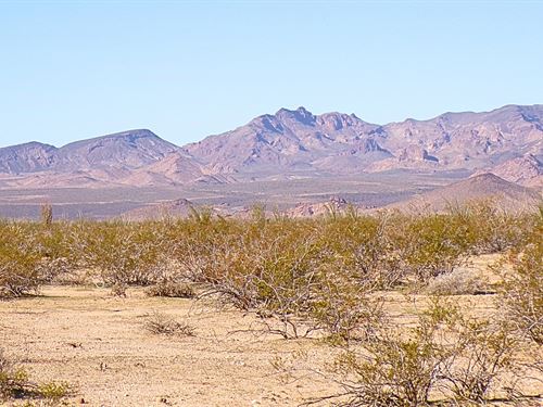 Smart Land Investment in Yucca, AZ : Yucca : Mohave County : Arizona