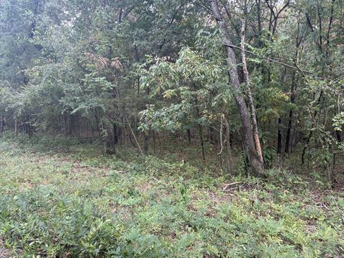 Huge Acreage Opportunity : Cherokee Village : Sharp County : Arkansas