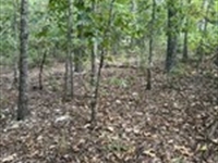Family Build Dream Lot : Cherokee Village : Sharp County : Arkansas