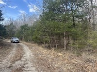 Rock Garden in Your Backyard : Cherokee Village : Sharp County : Arkansas
