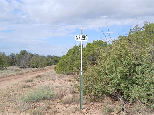 Wide Space, Blue Skies, and Feedom : Saint Johns : Apache County : Arizona