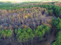 Sassafrass Hill : Hohenwald : Lewis County : Tennessee