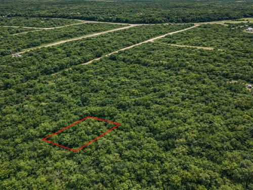 .23 Acre Buildable Lot, $150/Mo : Live Oak : Suwannee County : Florida