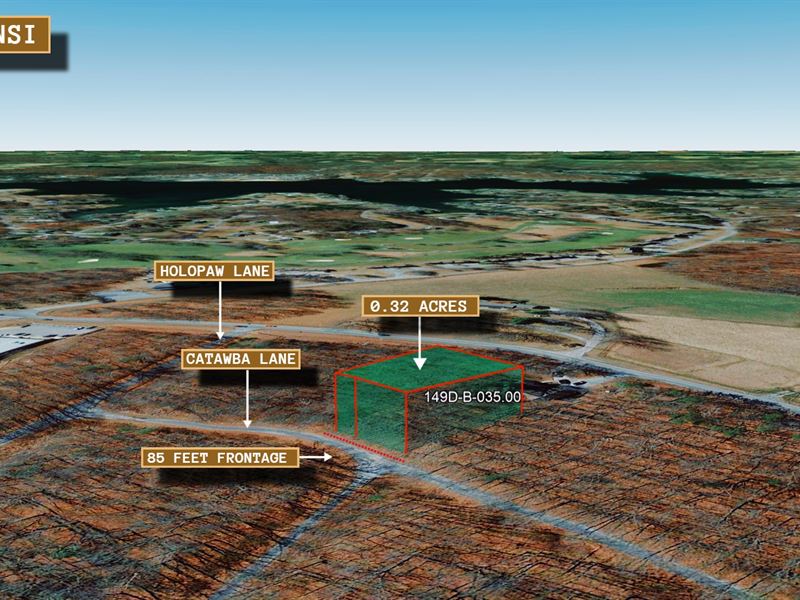 .32 Acre in Lake Tansi Community : Crossville : Cumberland County : Tennessee