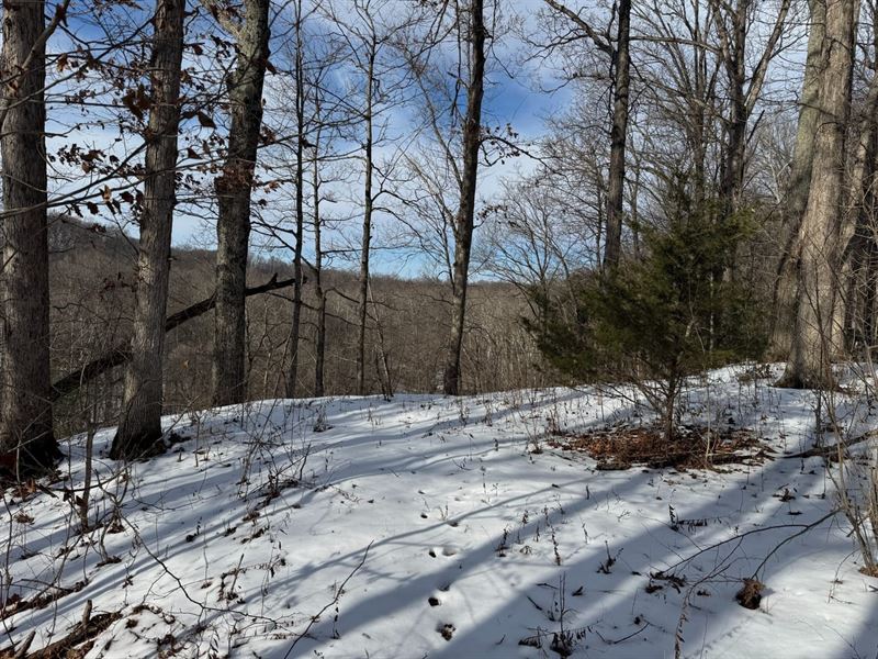 Land for Sale -.40 Acres, Wooded : Bainbridge : Putnam County : Indiana