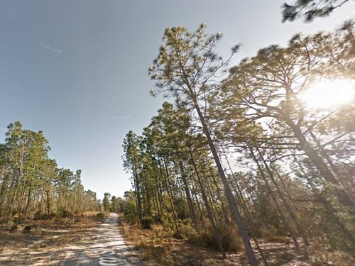 Own 2 Lots for $149 Down : Interlachen : Putnam County : Florida