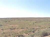 Best Adjacent Land Deal 5 Acres : Sun Valley : Navajo County : Arizona