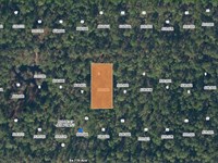 Black Friday Special $99 Down : Federal Point : Putnam County : Florida