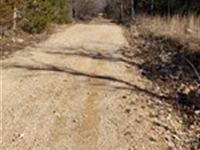 Camper-Friendly Land : Williford : Sharp County : Arkansas