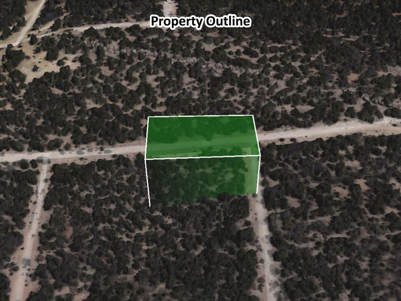 Residential Lot, Your Dream Home : Edgewood : Torrance County : New Mexico