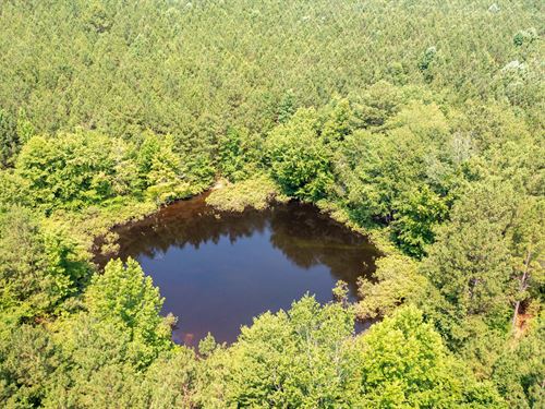 Beautiful Land with Pond, $999 Down : Huron : Henderson County : Tennessee