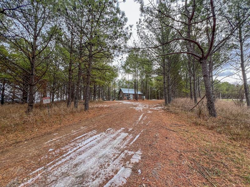 Oakland Church Rd, 5 Acres : Chandlersville : Muskingum County : Ohio