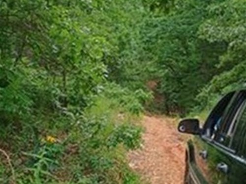 Live Free on Your Own Land : Williford : Sharp County : Arkansas