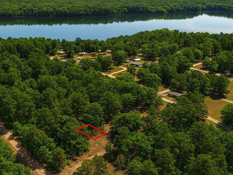 .11 Acre Wooded Lot Near The Lake : Avinger : Marion County : Texas