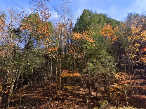 Unrestricted, Owner Financing : Hedgesville : Morgan County : West Virginia