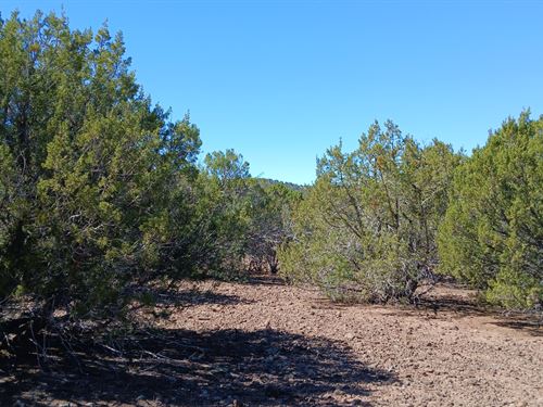 Your Future Home in Arizona : Vernon : Apache County : Arizona