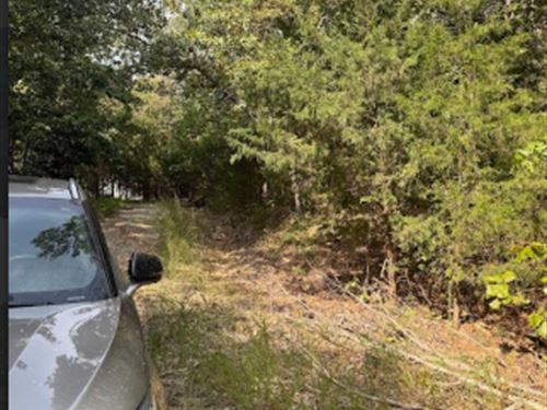 Amazing Quiet Retirement Lot : Cherokee Village : Sharp County : Arkansas