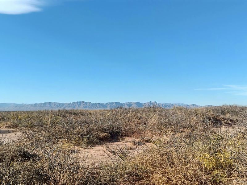 No Zoning Lot 15 Mins From Van Horn : Texas City : Culberson County : Texas