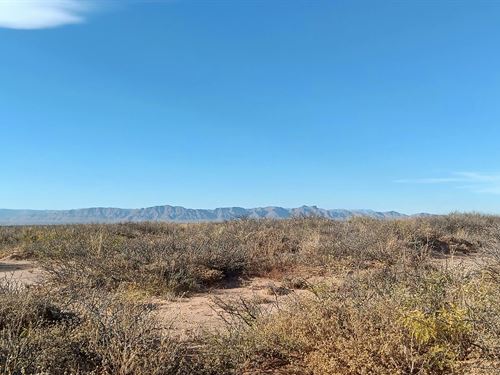 No Zoning Lot 15 Mins From Van Horn : Texas City : Culberson County : Texas