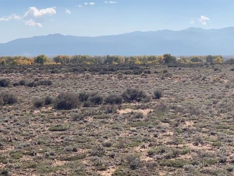 Are You Looking for Land in Colorad : San Luis : Costilla County : Colorado