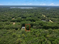 Your Homesite by The Lake : Interlachen : Putnam County : Florida