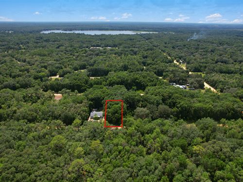 Your Homesite by The Lake : Interlachen : Putnam County : Florida