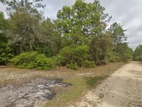 Escape The Snow and Buy in Florida : Satsuma : Putnam County : Florida