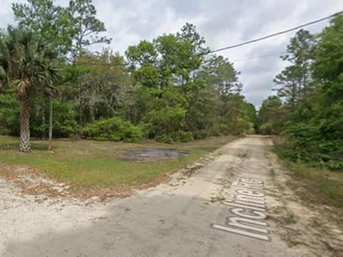 Escapese DE LA Nieve y Compre en FL : Satsuma : Putnam County : Florida