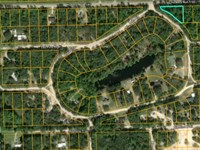 Welcome to Sunny Satsuma, FL : Satsuma : Putnam County : Florida