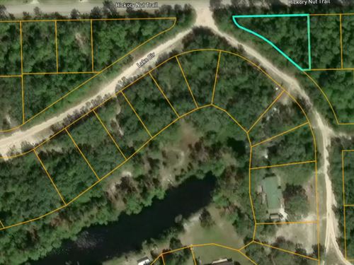 Bienvenido a Sunny Satsuma, FL : Satsuma : Putnam County : Florida