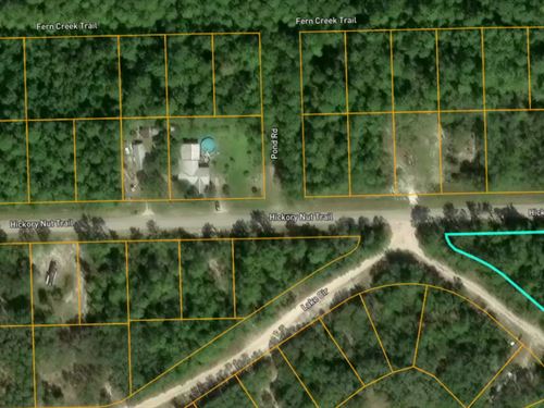 Bem-Vindo ao Sunny Satsuma, FL : Satsuma : Putnam County : Florida