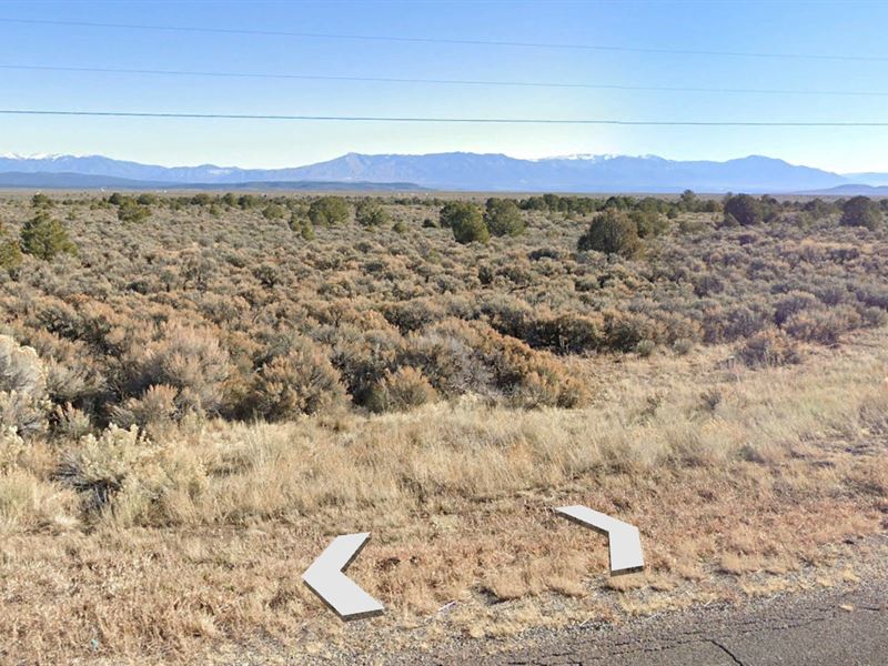 Off-Grid Lot Near Us-64 and Taos : Tres Piedras : Taos County : New Mexico