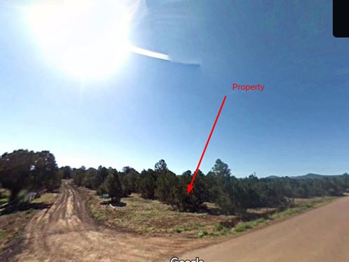 .56 Acre Corner Lot in Apache : Show Low Crossroads : Apache County : Arizona