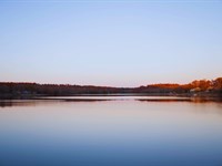 Rare Izard 0.93 Ac, Near Lakes : Horseshoe Bend : Izard County : Arkansas