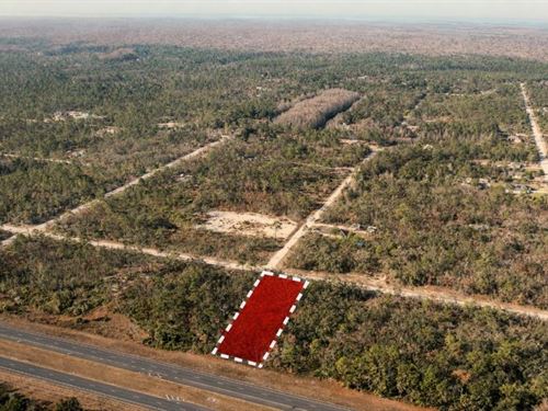 Peaceful Brooksville Living : Brooksville : Hernando County : Florida