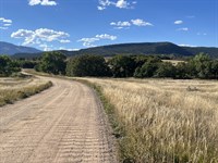 $202.79/Mo, Residential Lot, Water : Colorado City : Pueblo County : Colorado