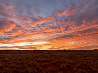 1 Acre Near I-25, Unrestricted : Las Nutrias : Socorro County : New Mexico