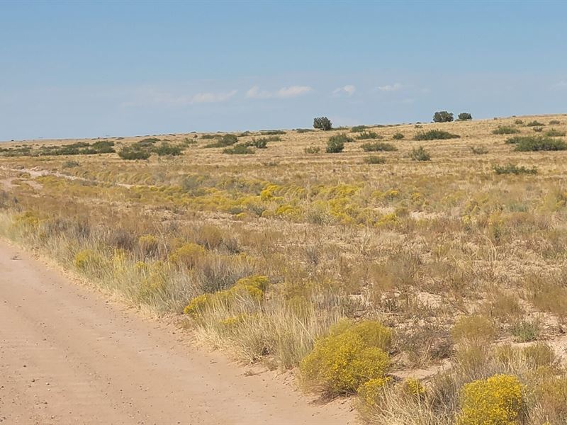 1 Acre Near I-25, Unrestricted : Las Nutrias : Socorro County : New Mexico