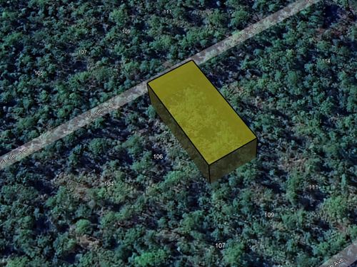 Dont Miss It $99 Down Land Sale : Federal Point : Putnam County : Florida