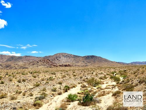 Near Joshua Tree Park Entrance : Twentynine Palms : San Bernardino County : California