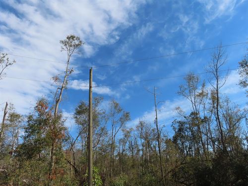 Your Quiet Slice of Paradise Awaits : Jennings : Hamilton County : Florida