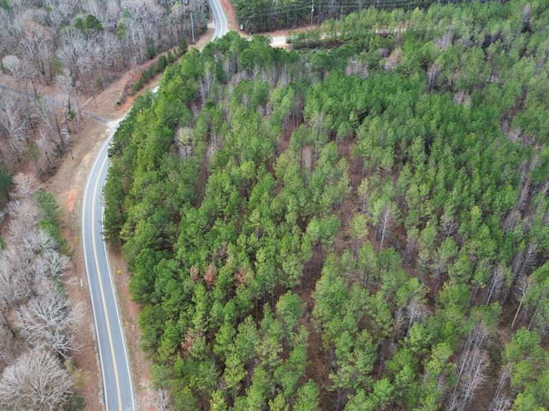 7 Acres Tallapoosa Co : Dadeville : Tallapoosa County : Alabama