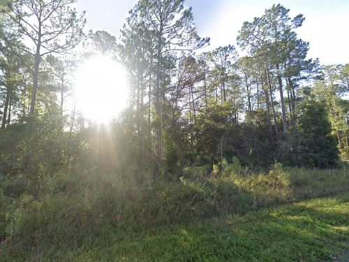 $99 Down for Real Estate Jackpot : Federal Point : Putnam County : Florida