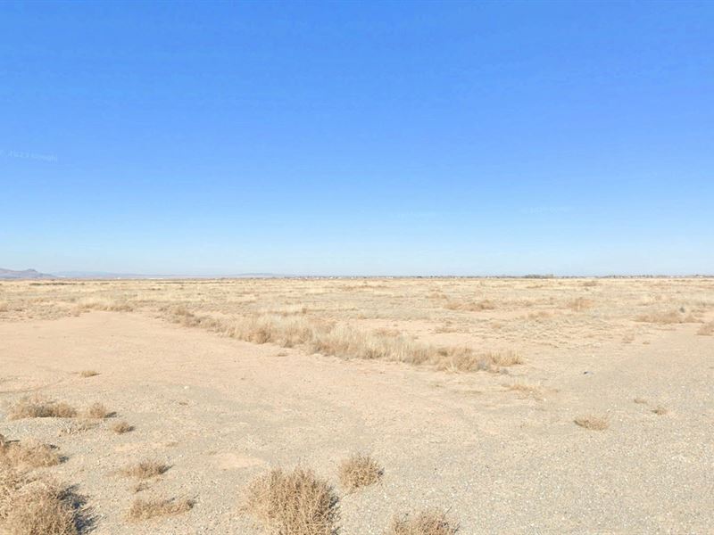 .25 Acre Near Valencia HS : Los Lunas : Valencia County : New Mexico