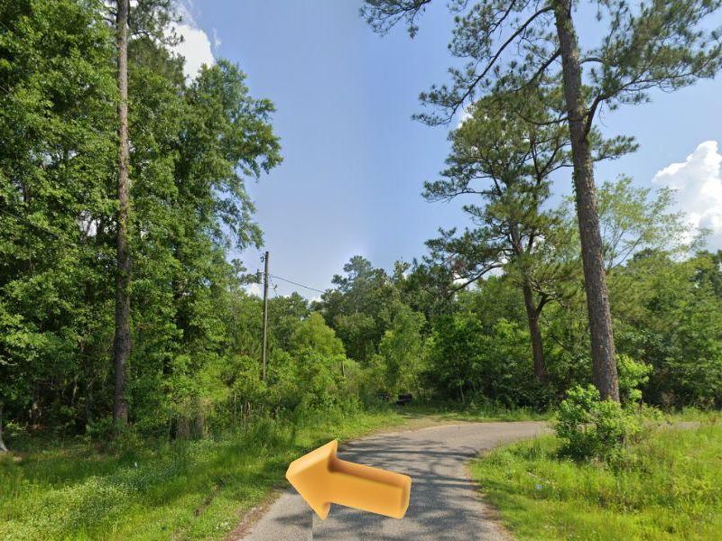 Your Dream Near The Gulf : Gautier : Jackson County : Mississippi