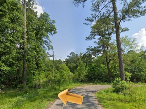 Your Dream Near The Gulf : Gautier : Jackson County : Mississippi