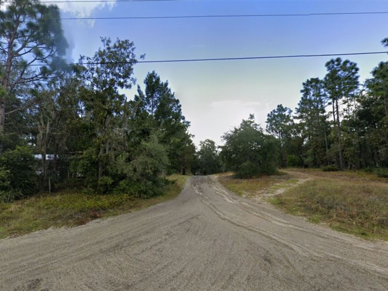 Corner Lot in Florahome Florida : Florahome : Putnam County : Florida